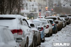 Грызуны, мороз и антифриз: как подготовить автомобиль к зиме в России, советы экспертов