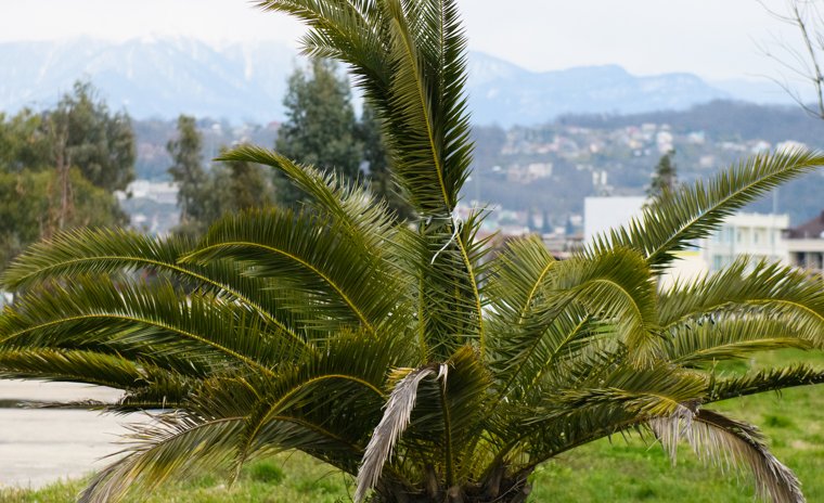 Эмоции на пределе: кто не выдержал испытаний в новом выпуске «Звезды в джунглях»