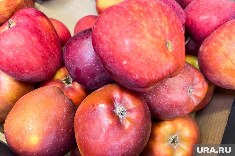 В России подорожали некоторые лекарства и продукты: отчет цен от Росстата. Инфографика