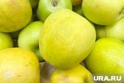 Диетолог опровергла популярный миф о яблоках