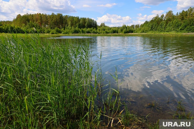 Путь к оздоровлению из Кургана: как безопаснее добраться до популярного лечебного озера. Карта