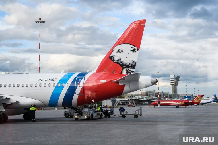 «Цена просто улетная»: многодетная семья из ЯНАО ужаснулась стоимости авиабилетов. Скрин