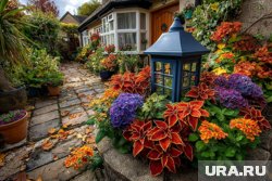 Лунный календарь садовода на октябрь 2025: что можно и нельзя делать