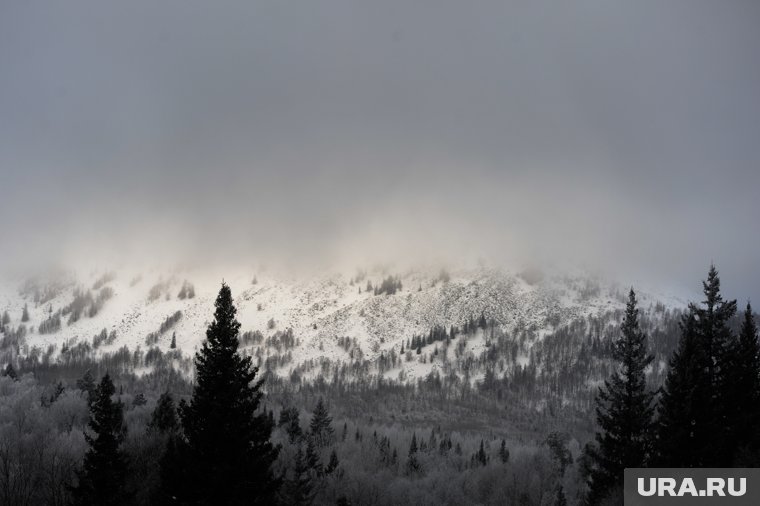 Выживший альпинист рассказал о критической ситуации на пике Победы, где застряла Наговицына