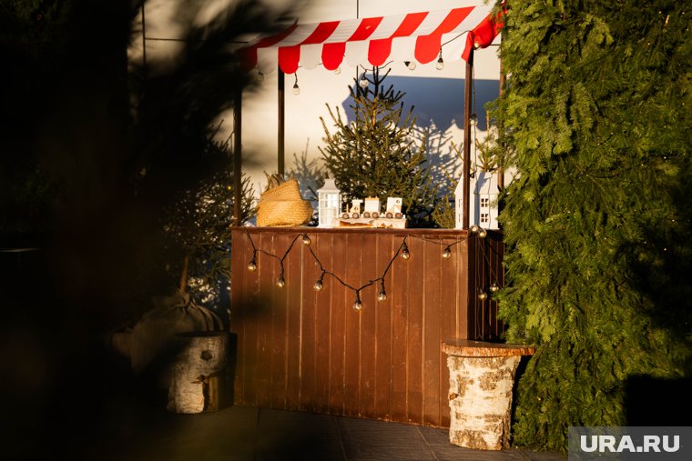 Увидеть Бэнкси и китайское чудо света: куда сходить в Москве на новогодние праздники