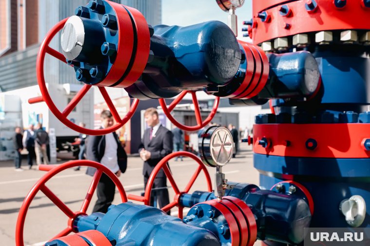 Чем известен курганский завод арабских инвесторов, который включили в черный список Украины