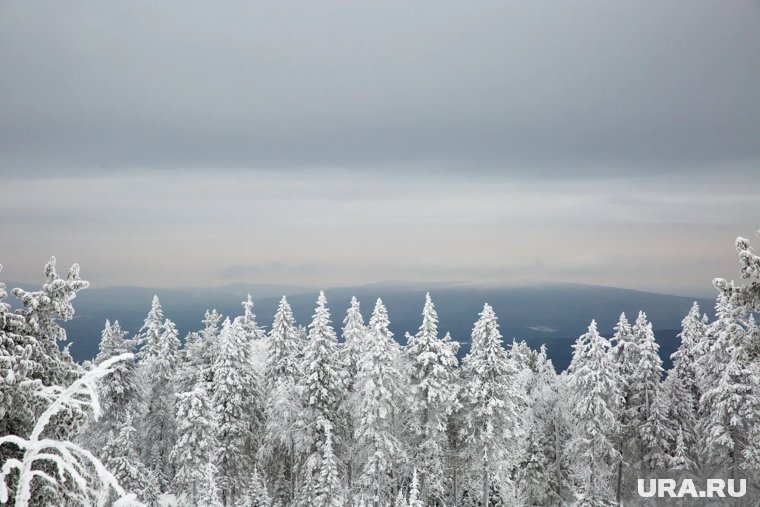 Как выжить в тайге, если заблудился