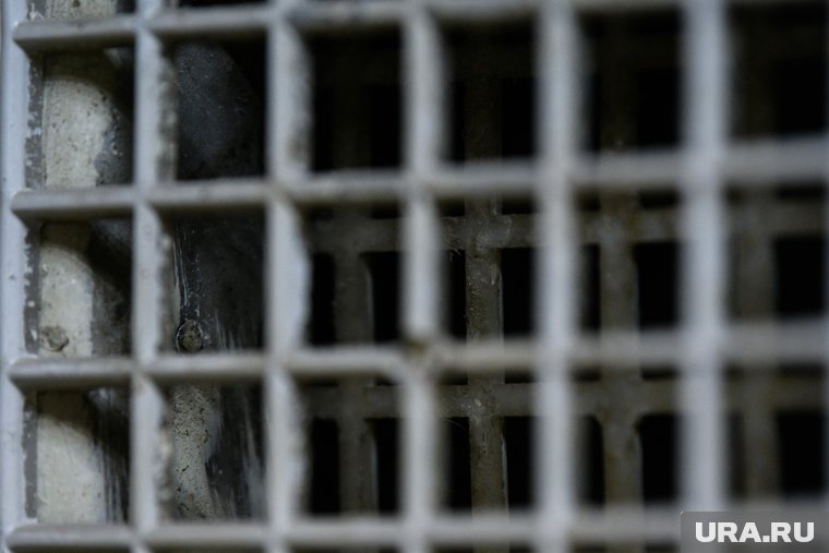 Что известно о смертнике, устроившем покушение на основателя батальона «Арбат»