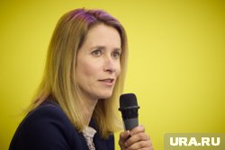 ЕС объявил о санкциях на фоне подготовки встречи Путина и Трампа