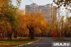 В октябре ожидается дефицит осадков в Кургане. Скрин