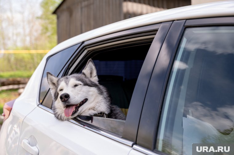 Метеорологи рассказали, почему июль в Перми был самым «нежарким» за последние 30 лет
