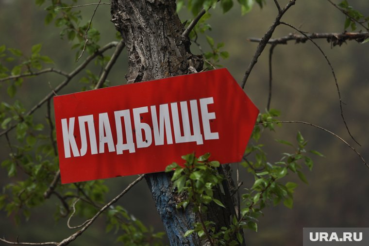 «Без проблем»: сколько стоит похоронить на незаконном кладбище под Курганом