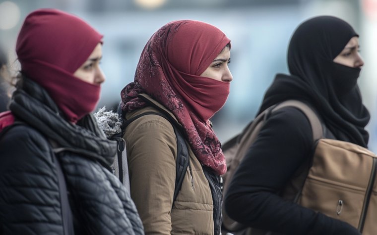 Мигранты не собираются интегрироваться в российское общество