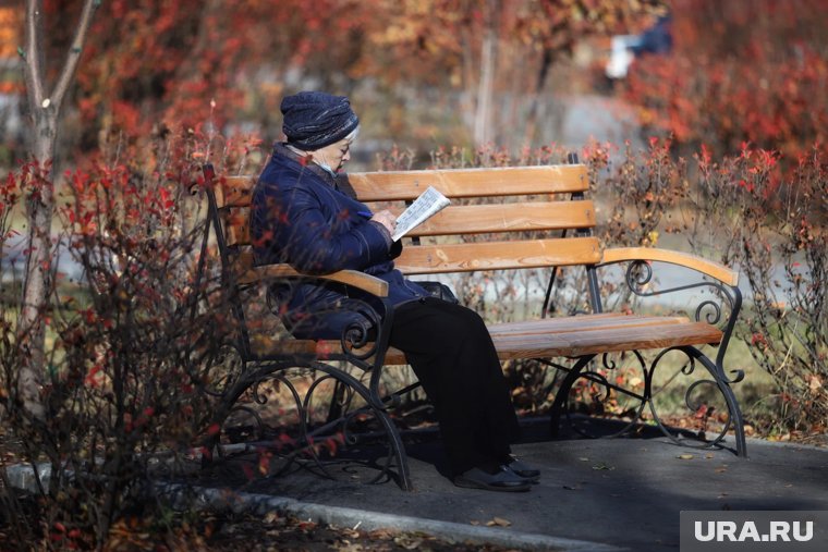 Двойная пенсия в 2025 году: кому положена и как оформить