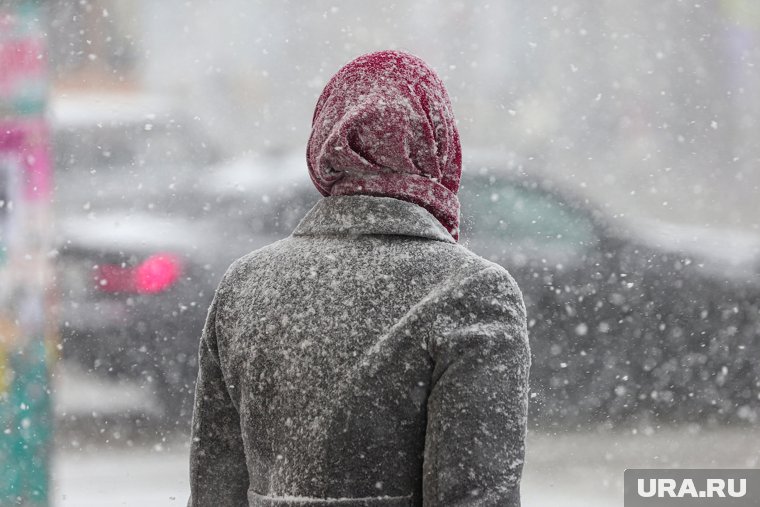 То снег, то дождь: где провести выходные, чтобы почувствовать весну. Инфографика