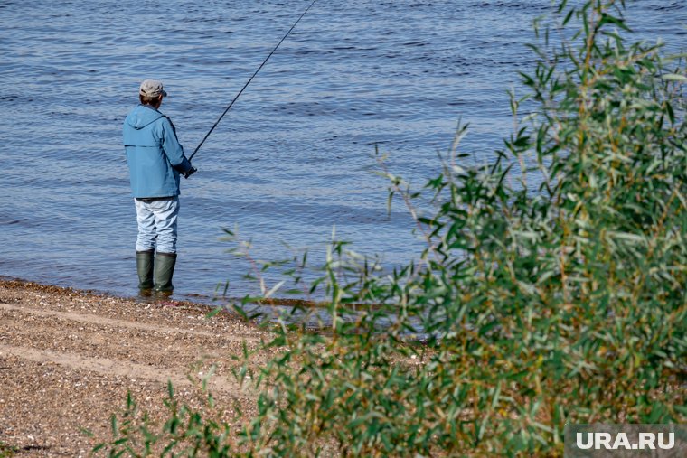 Рыбалка в Подмосковье 2025: топ-10 самых «клевых» мест