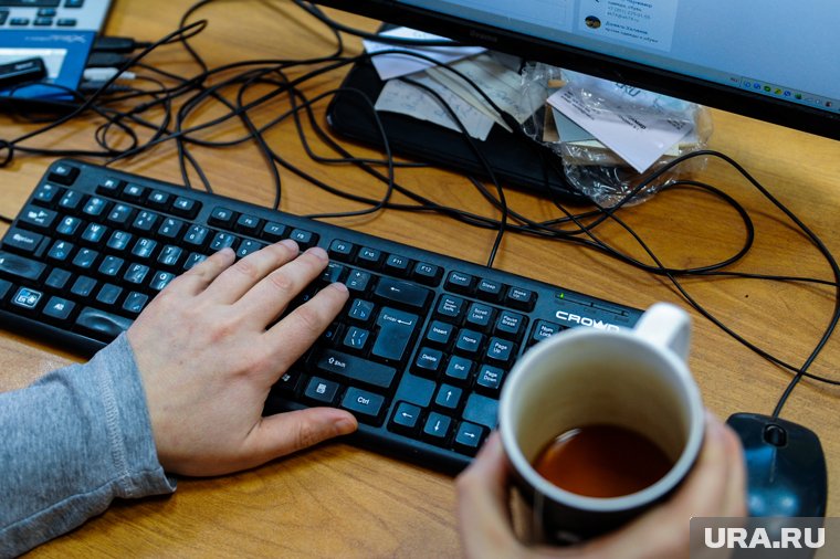 Юрист Владимирова: начальству можно запрещать россиянам пить чай на работе