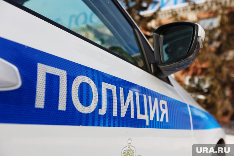 Что известно о деле с автоподставами, в которых обвиняют курганских сестер Камшиловых