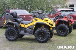 В Курганской области семилетний ребенок незаконно катался на квадроцикле. Фото