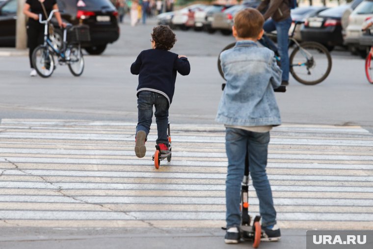 В курганском дворе обнаружили необычный пешеходный переход. Фото