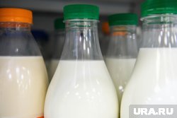 В Курганской области на развитие молочной отрасли потратят миллиард рублей