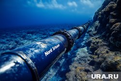 В Европе задержан украинец по делу о подрыве «Северных потоков»