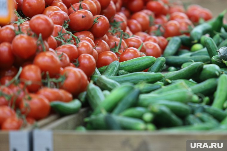 В Курганской области назвали овощи и фрукты, которые подорожали больше всего. Инфографика