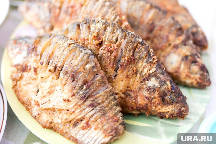 Жители Кургана приготовят рыбу, рецепт которой попадет в специальный сборник