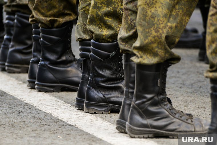 В Германии заявили, что НАТО стало полноценным участником конфликта на Украине