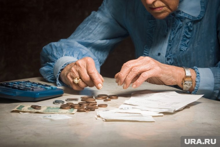 РБК: россиянам для «нормальной жизни» нужно 80 тысяч рублей