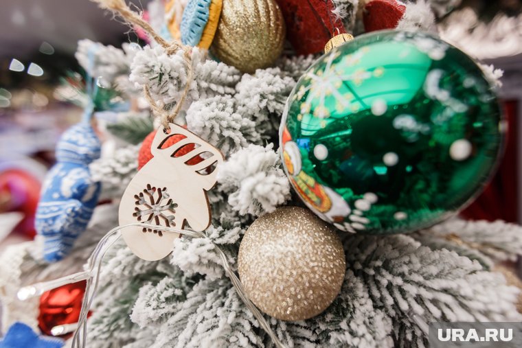 Как привлечь богатство в Новом 2025 году: советы мастера фэн-шуй