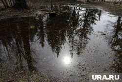 Что ждет землян: какой силы будет магнитная буря 15 октября 2025