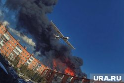 Четыре часа — 44 цели: российская ПВО отразила утреннюю атаку ВСУ