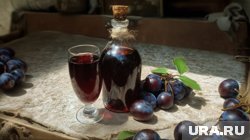 Сливовое вино, настойки и наливки: рецепты для начинающих