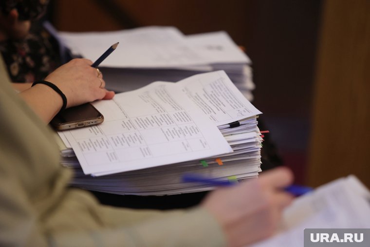 Мэрия Шадринска будет судиться с самым богатым депутатом Педошенко. Инсайд