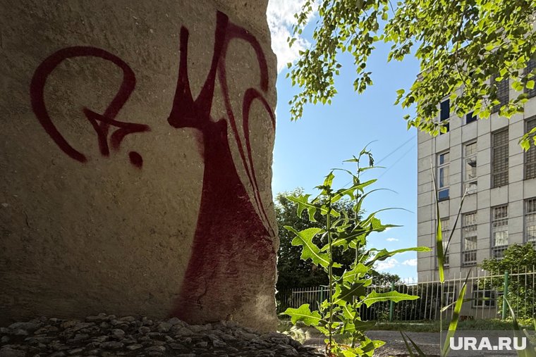 Курганский Бэнкси оставил послание с объяснением изображения кошек-чертей. Фото