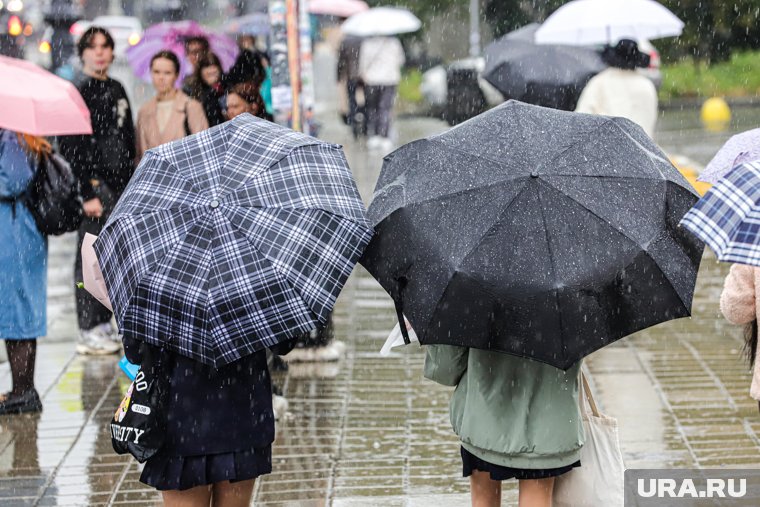 Нерезкая смена погоды: прогноз в Москве и Петербурге в выходные