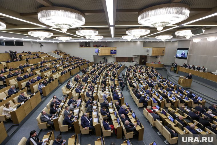 «Это недопустимо»: в Госдуме резко отреагировали на задержание блогера Щепихина