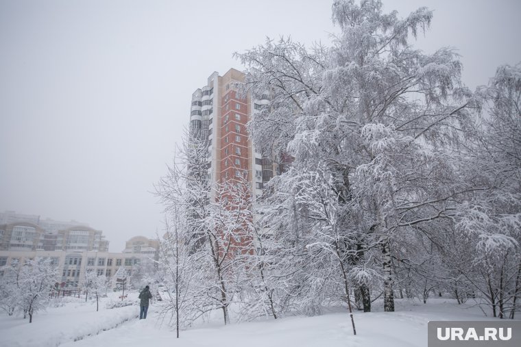Неласковый май: Московскую область и столицу завалило снегом. Фото, видео