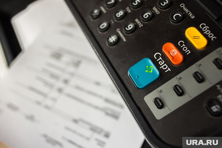 Жена директора курганского ТВ завладела активом черногорского бизнесмена