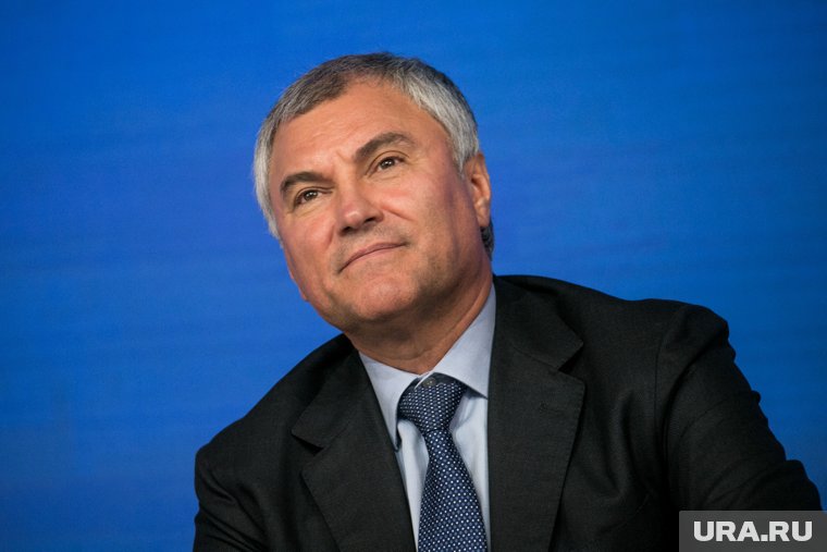 Госдума приняла 13 законов по борьбе с нелегальной миграцией