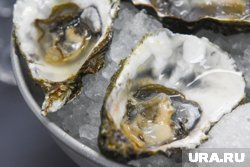 Ресторан, посетители которого попали в больницу, вновь открылся в Челябинске