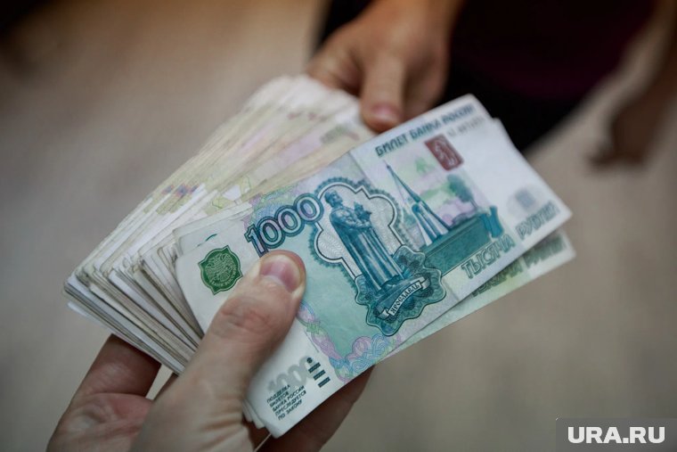 Власти Курганской области оценят эффективность борьбы с коррупцией с помощью соцопроса