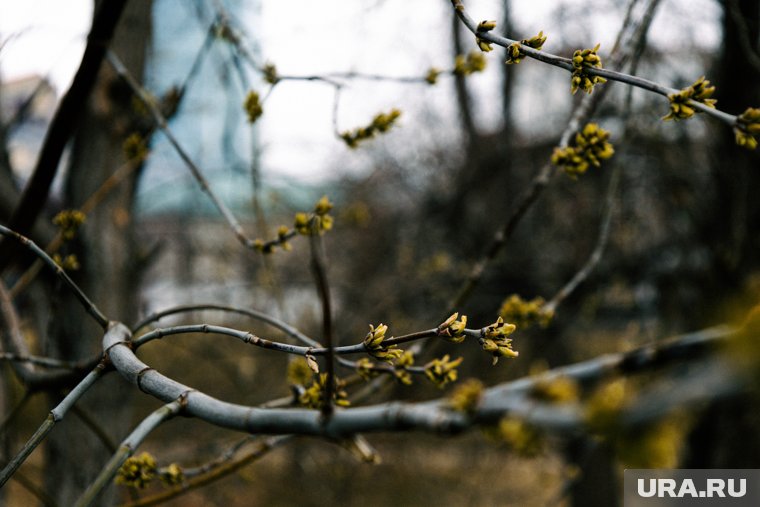 День дочери и Василия Парильщика: что ни в коем случае нельзя делать 25 апреля