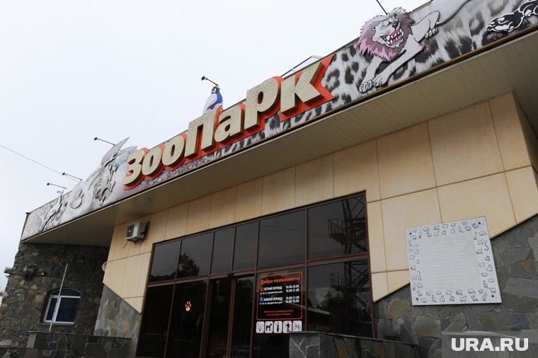 Власти решили судьбу челябинского зоопарка