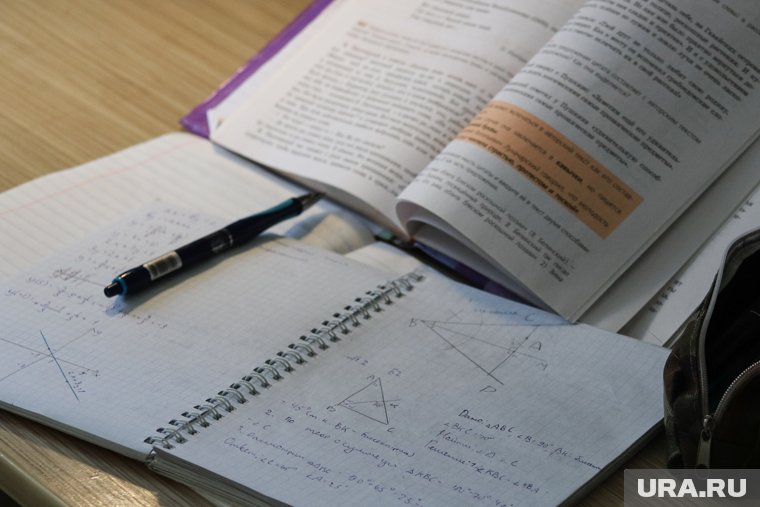 Сколько школьники должны тратить на «домашку» и могут ли ее отменить: в РФ обсудят вопрос о перегрузке де...