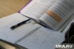 Сколько школьники должны тратить на «домашку» и могут ли ее отменить: в РФ обсудят вопрос о перегрузке де...