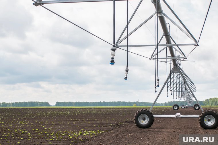 Фирму курганского депутата оштрафовали на 2,5 млн из-за студентов-мигрантов