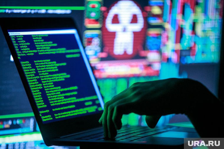 РКН: на московские ресурсы ЦИК совершено почти 100 DDos-атак