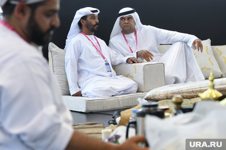 Какими курганскими фирмами владеют иностранные инвесторы